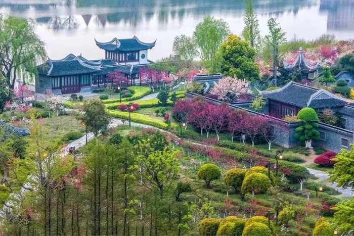 Wonderful Taizhou, festooned with blossoms