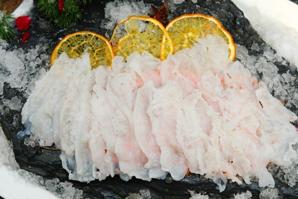 1666666288014095235.jpg puffer fish.jpg