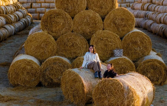 1764933135260029654.jpg 6576587698.jpg