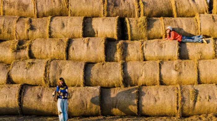 1764933098153026577.jpg 68768.jpg